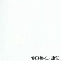 LENS1001