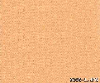 9006-1