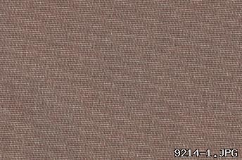 LENS1021