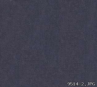 LVAS1019